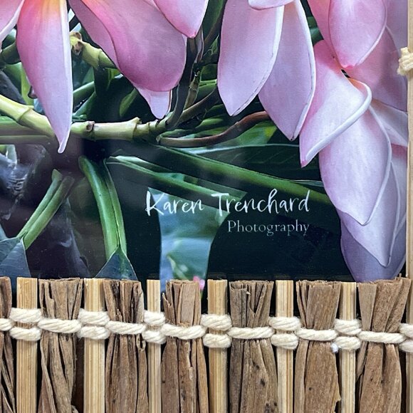 Fine Art Original PINK PLUMERIA Photo Bamboo Frame Signed COA - Picture 3 of 5